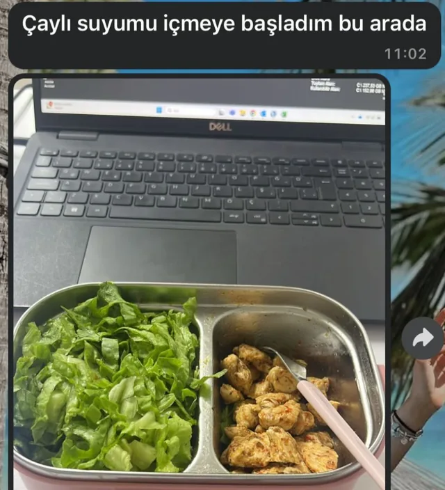 Danışan mesajı: çaylı suyuna başladığını yazıyor ve salatalı öğle yemeğini paylaşıyor.